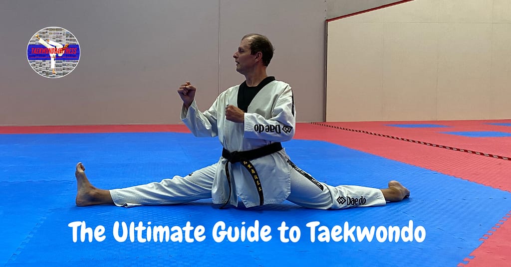 The Ultimate Guide to Taekwondo: Techniques, Training, and Lifestyle Tips