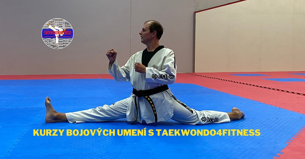 Kurzy bojových umení s Taekwondo4Fitness