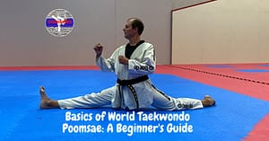 Basics of World Taekwondo Poomsae
